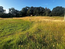 Another view of camping field.