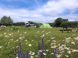 Tent pitches