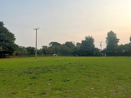 Horses on site