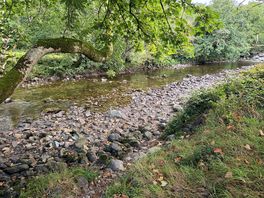 The river right behind the campsite field, easy access and deep enough to swim in parts.