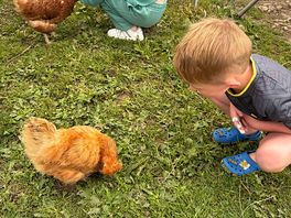 Making new friends