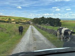 The bumpy road to the site.