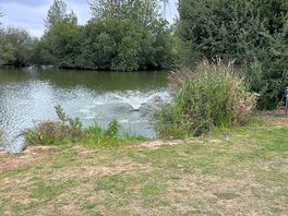 Fishing lake