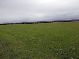 Amazing views