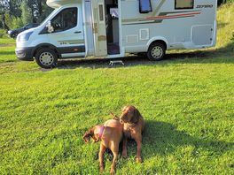 Pitch exelent spaced out and lovely view. as you can see dogs loved it totally relaxed