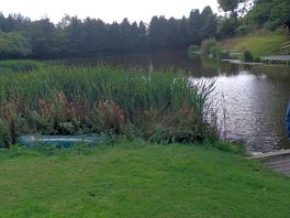 The lake