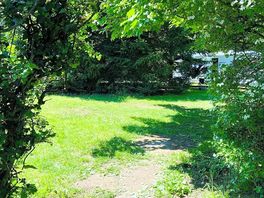 Grassy pitches