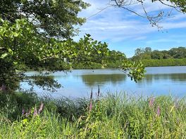 Beautiful lake on site