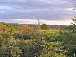 Views from the site