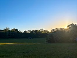 Sunset in the field