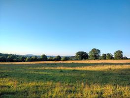 The landscape