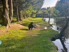 Lovely walks.