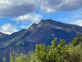 View near camp