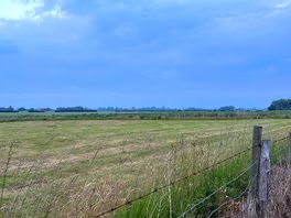 Local views.