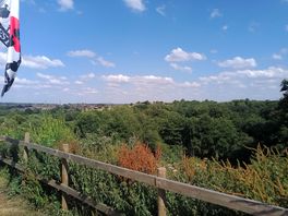 Room with a view