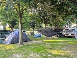 Pitches under shady trees