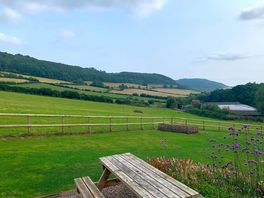 Stunning view