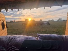 Can't beat sunset and wildlife
