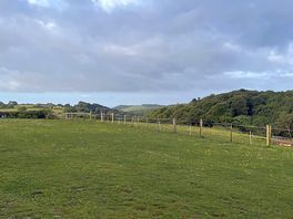 The view to horse field and woodland