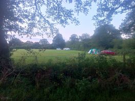 The site