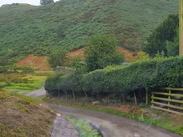 Road up to the campsite