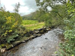 View over the stream from the tent field