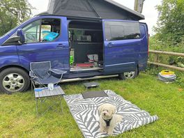Dogs allowed and electric pitches