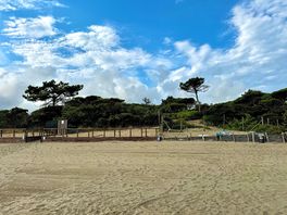 Strand nahe am campingplatz