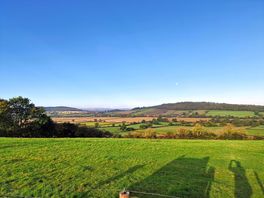 Great view!