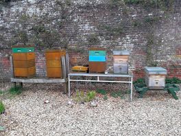 Beehives.