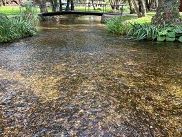 Beautiful river