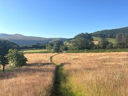 The view from the walk just off from the car park
