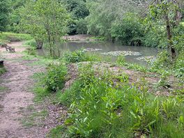 Fishing pond.