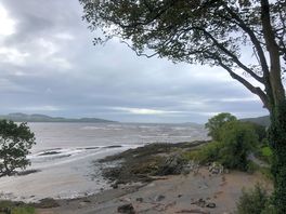 The changing tide was always a joy. watching great egrets and herons feed in the shallows
