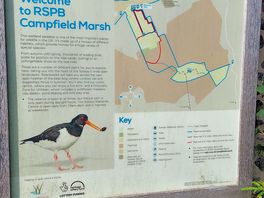 Local rspb reserve. well worth a visit.