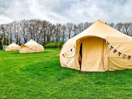 Our tent featured
