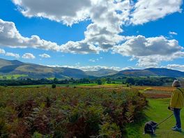 From the visitor centre.