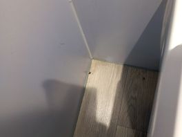 Dirt and pubic hair