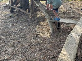 Freddie exploring the woods