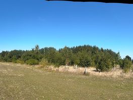 Panorama of campsite