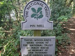 Pin mill