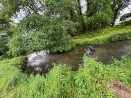 The river
