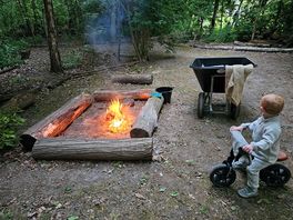 Grasshopper fire pit