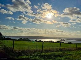 View from the van