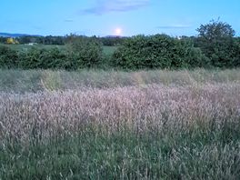 Beautiful stag moon over the gorgeous views