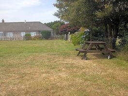 Tent field