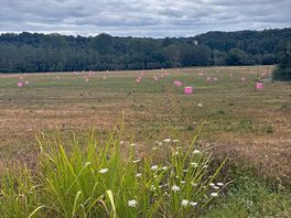 Surrounding countryside for a lovely walk