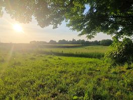 A field adjacent to camping field with a nice view