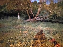 Campfire at night.