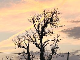 Sunset on the longest day